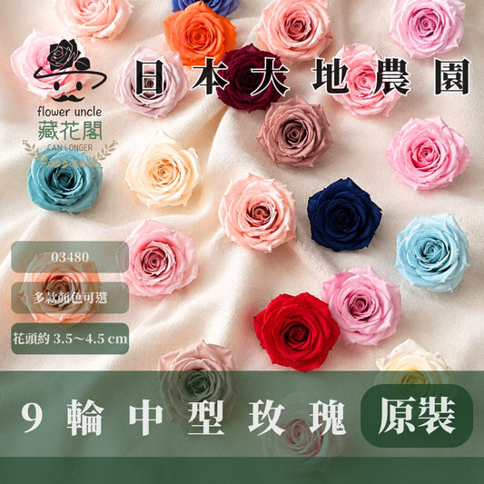 【台灣現貨】花大伯 03480 日本大地農園 中玫瑰 9朵裝 原裝 款式色彩齊全 永生玫瑰 不凋玫瑰
