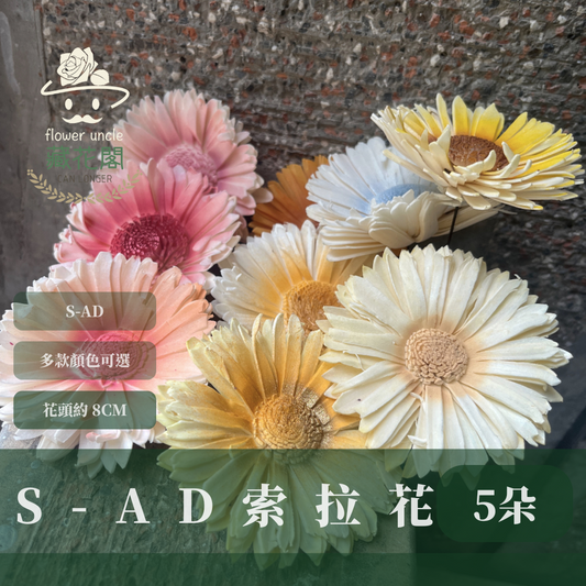 ✿ 台灣現貨 ✿ S-AD 索拉花 8CM 通草花 擴香花 向日葵 太陽花 太陽菊