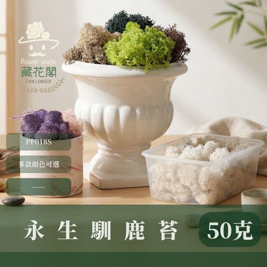 PF018S 永生馴鹿苔經濟包｜特級永生水草 微景觀水苔 苔蘚造景 乾燥花 不凋花 永生花藝材料 撲底用草 假草皮