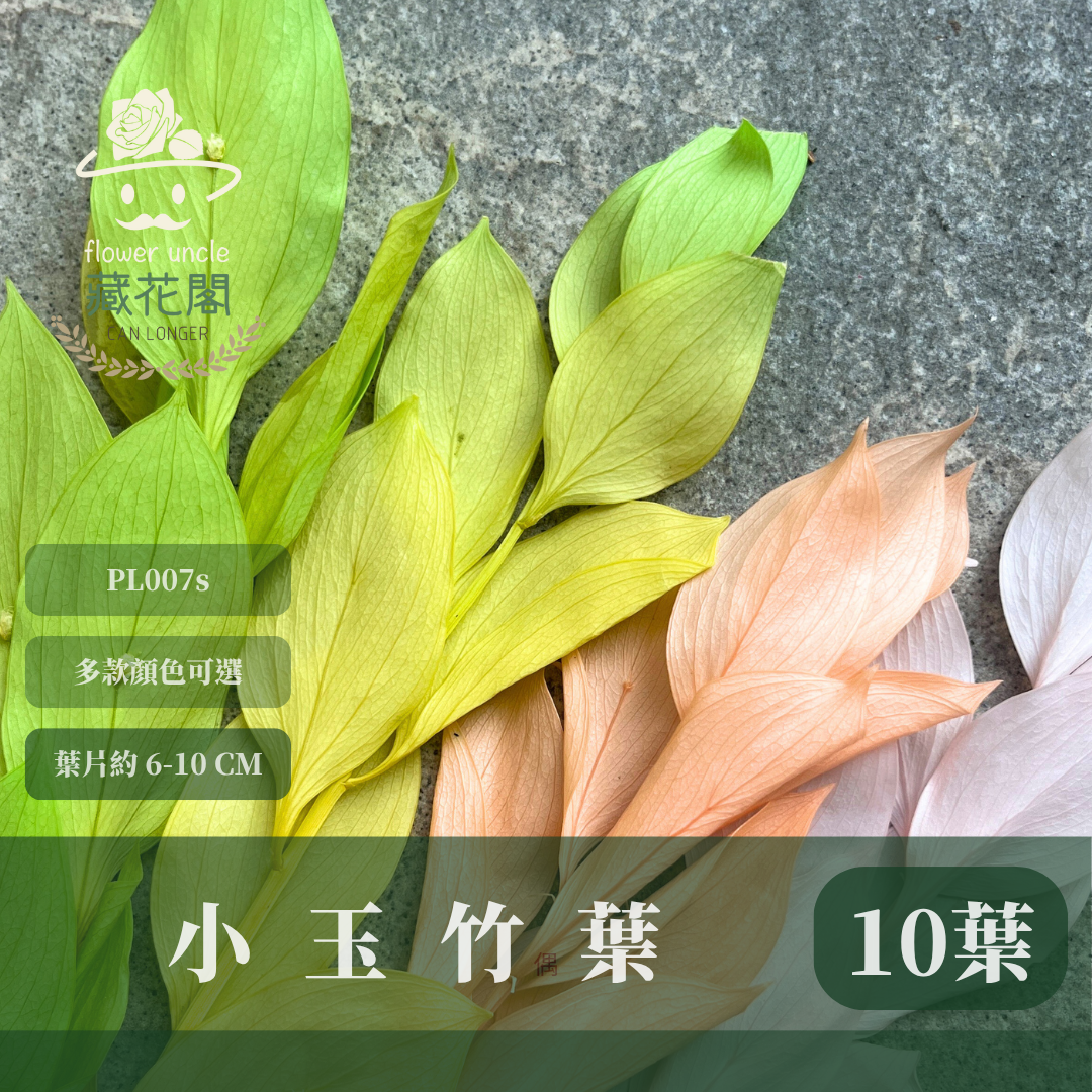 PL007S 小玉竹葉 玉竹葉 桔葉 永生 小份量