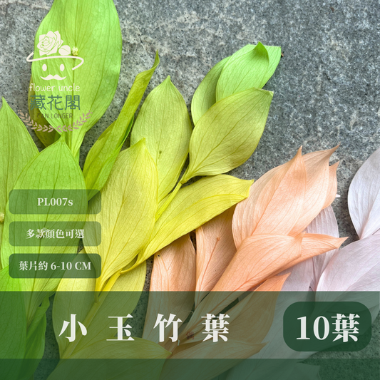 PL007S 小玉竹葉 玉竹葉 桔葉 永生 小份量