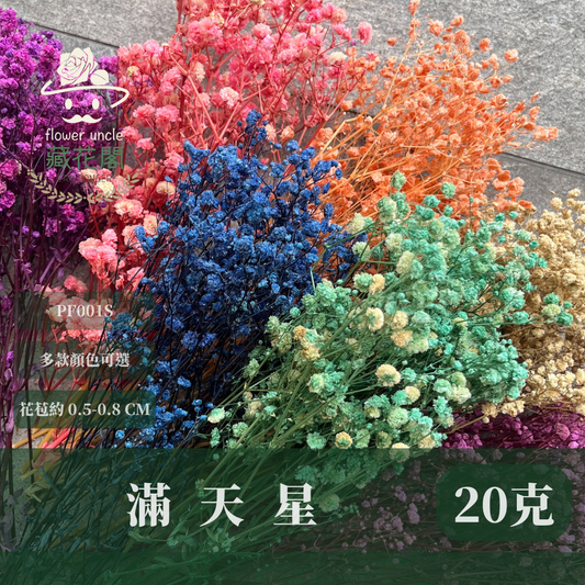 PF001S 滿天星 夢幻星 永生花 小份量