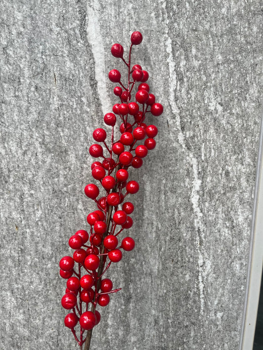 af001人造東青果