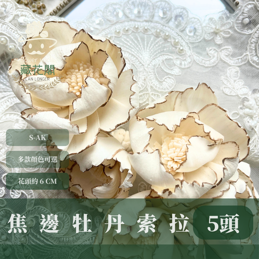 S-AK 焦邊牡丹索拉花 6CM 通草花 擴香花 牡丹 台灣現貨