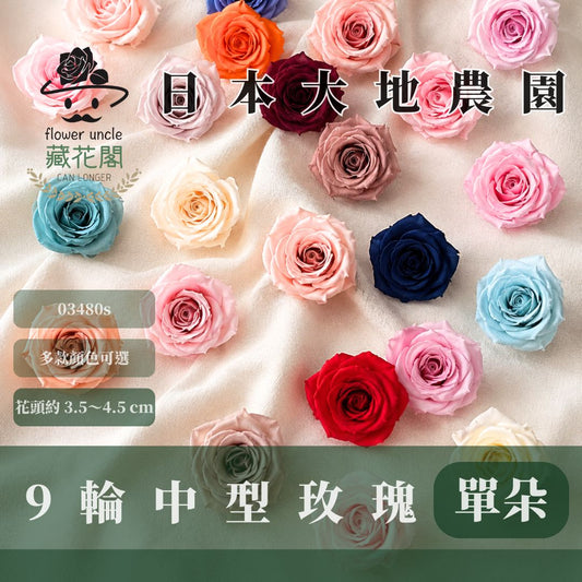 03480 中玫瑰