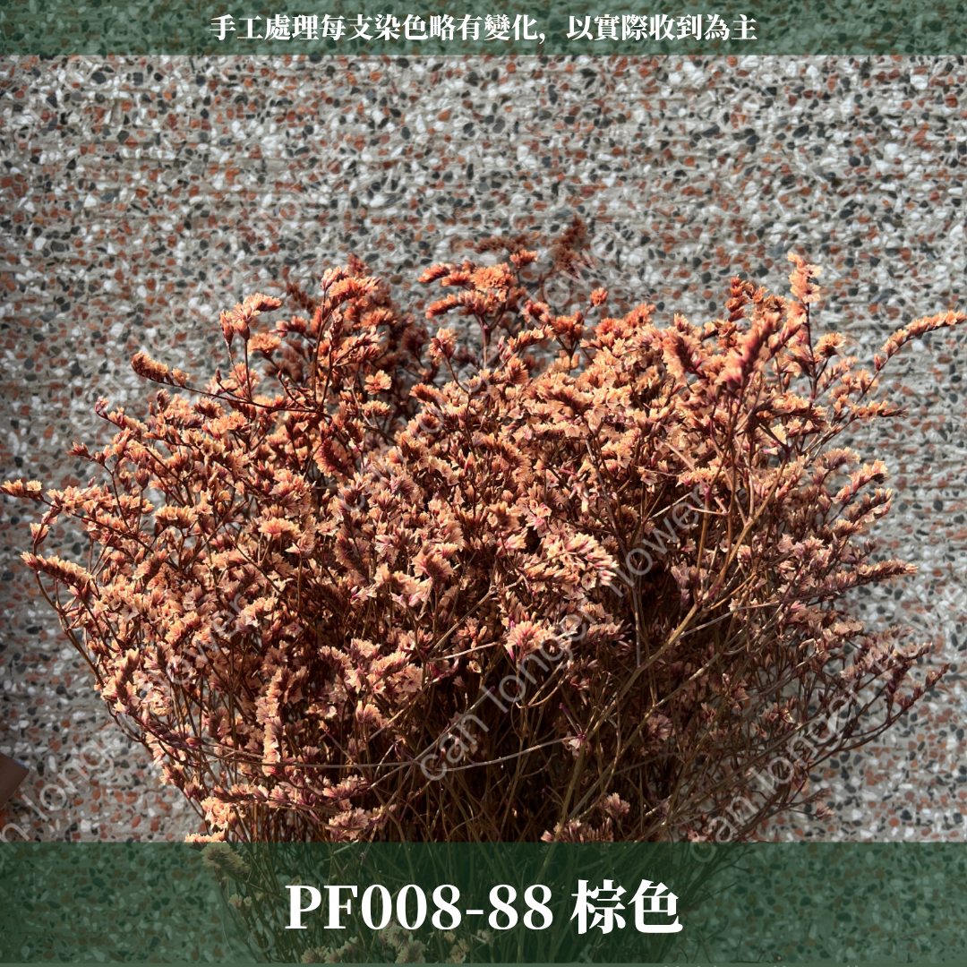 PF008 原裝水晶花｜現貨