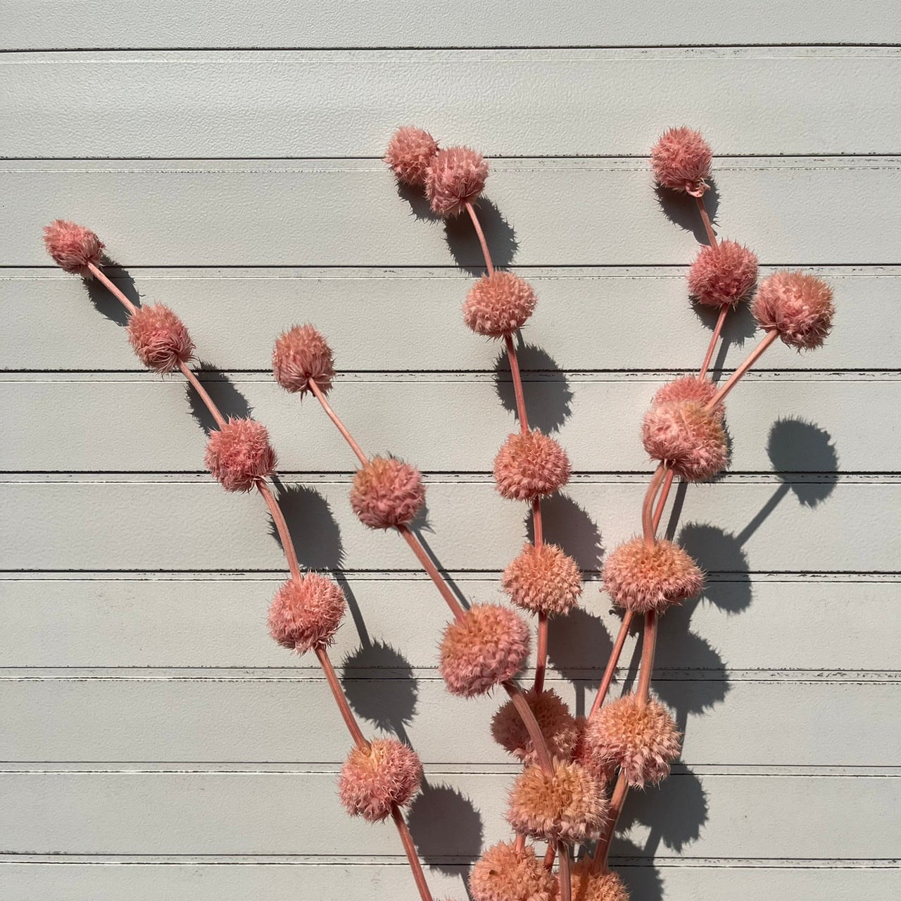 ✿ 台灣現貨 ✿ PA053 棒棒糖