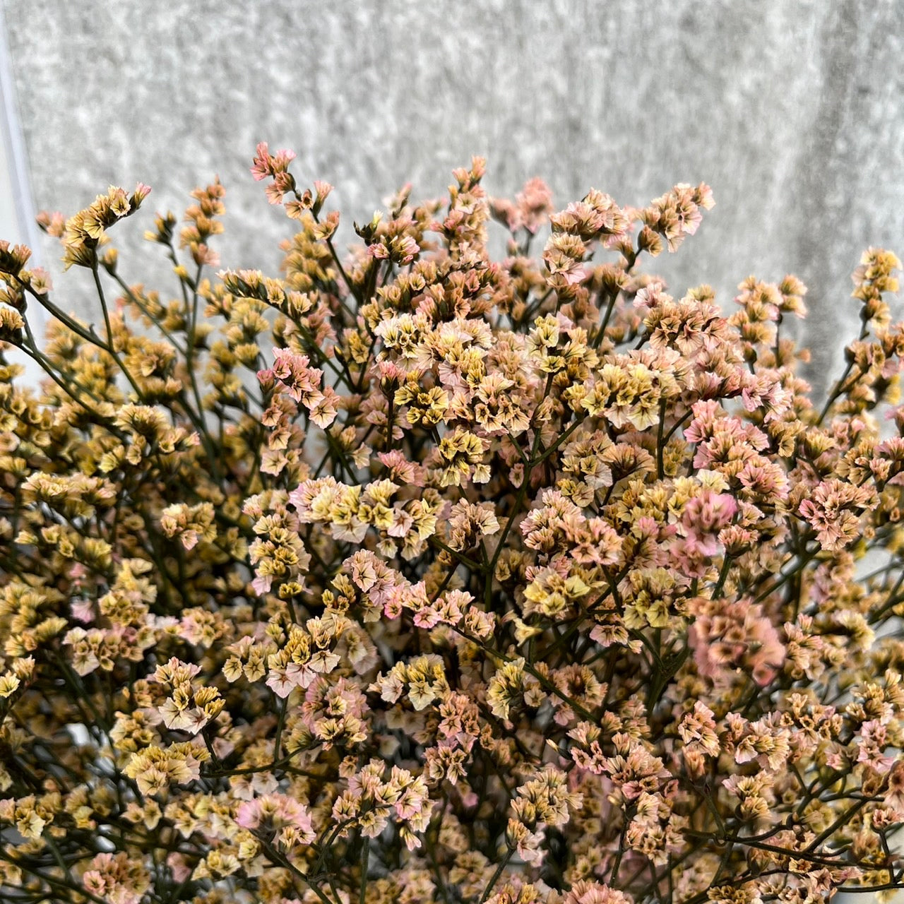 pf008-14