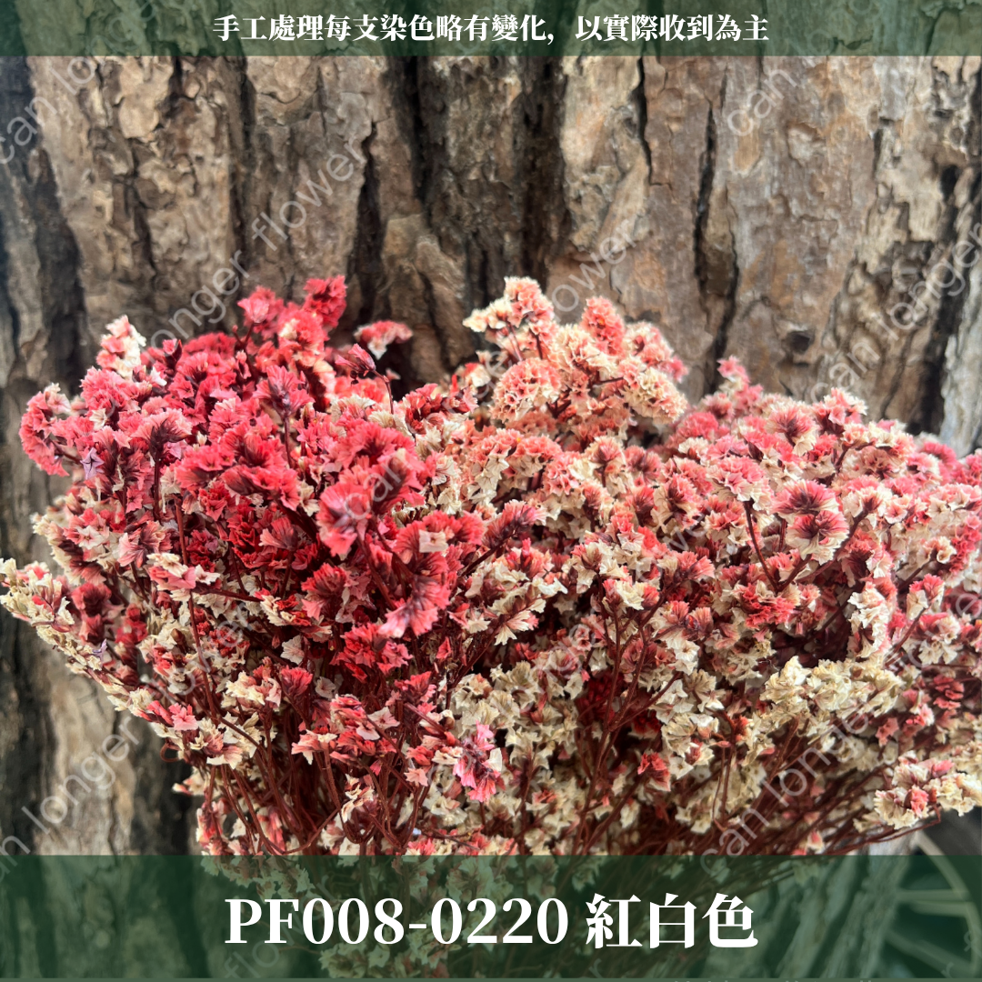 PF008 原裝水晶花｜現貨