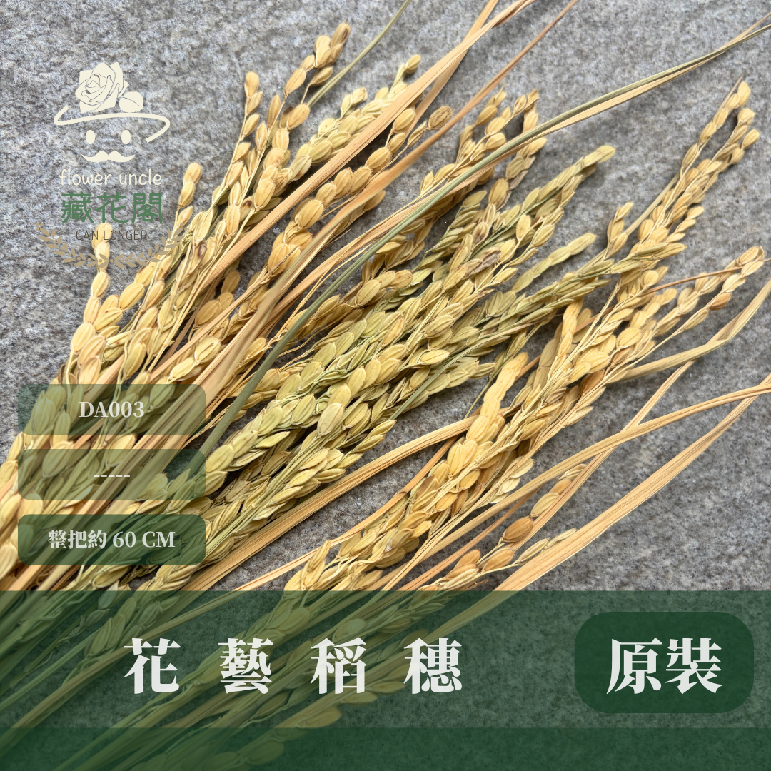 DA003 原裝花藝稻穗 10支裝｜乾燥稻穗小麥 天然花材 拍照道具 店面裝飾 婚禮佈置 手作花藝 田園風乾燥花材 新年