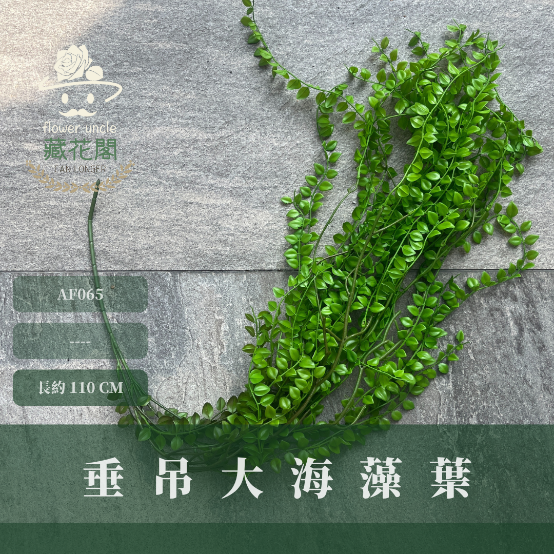 AF065 仿真垂吊大海藻葉 藤蔓裝飾 台灣現貨