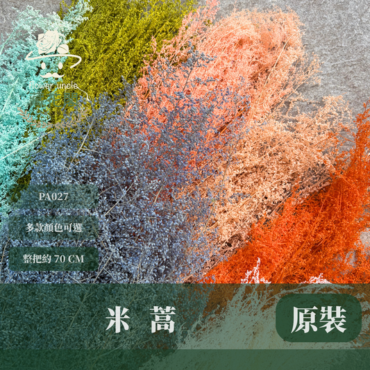 PA027 原裝永生米蒿｜咪咪草 不凋咪咪草 噴泉草 花藝設計 乾燥花束 拍照道具 居家佈置 柔霧系乾燥花 婚禮花藝素材