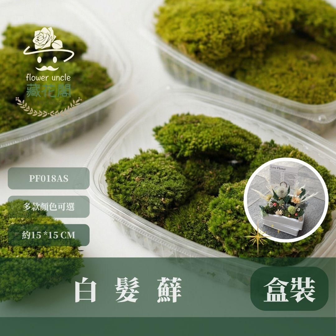PF018AS 白髮蘚經濟包｜鋪面永生青苔 微景觀苔蘚造景 苔蘚生態造景DIY 植物墻 建築模型材料 苔球 高級花藝苔蘚