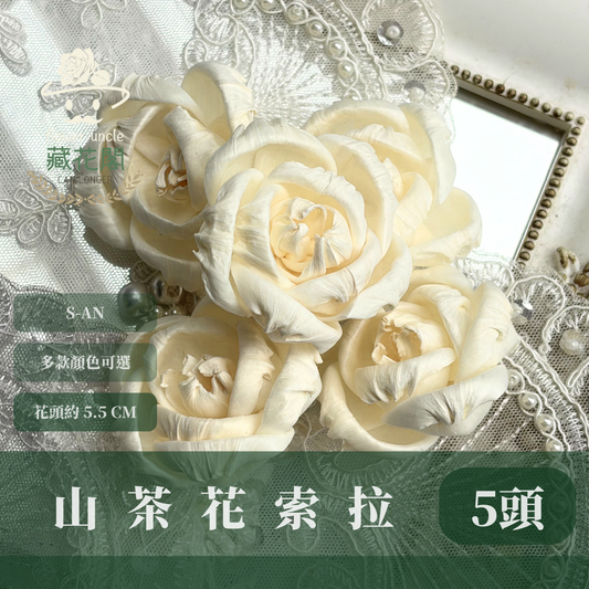 S-AN 山茶花索拉花 5-6CM 通草花 擴香花 梔子花 乾燥花 進口索拉花 花材 索拉花 山茶花 台灣現貨