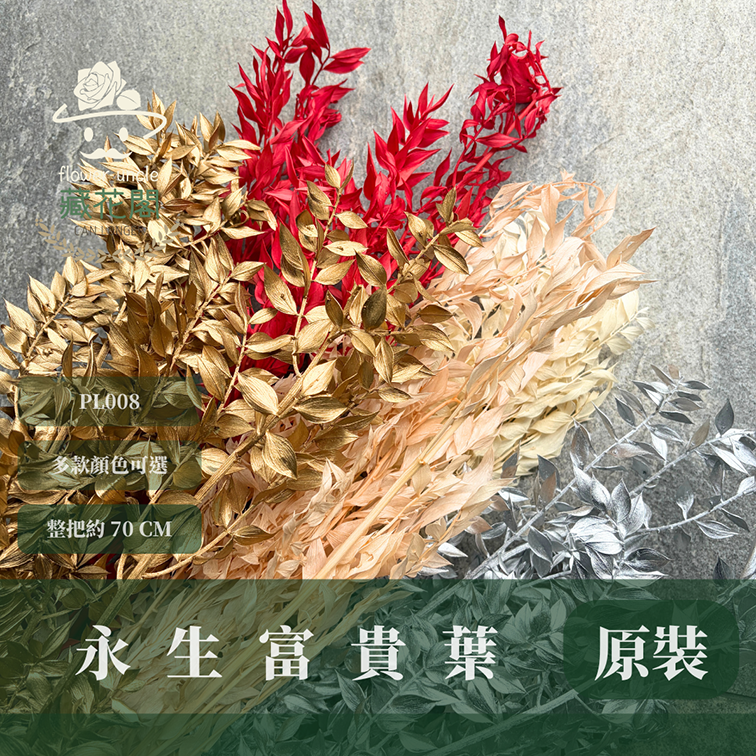 PL008 原裝永生富貴葉｜共五色！永生葉材 批發價 金色富貴葉 銀色富貴葉 乾燥花 永生花 熊貓竹 花藝材料 不凋花
