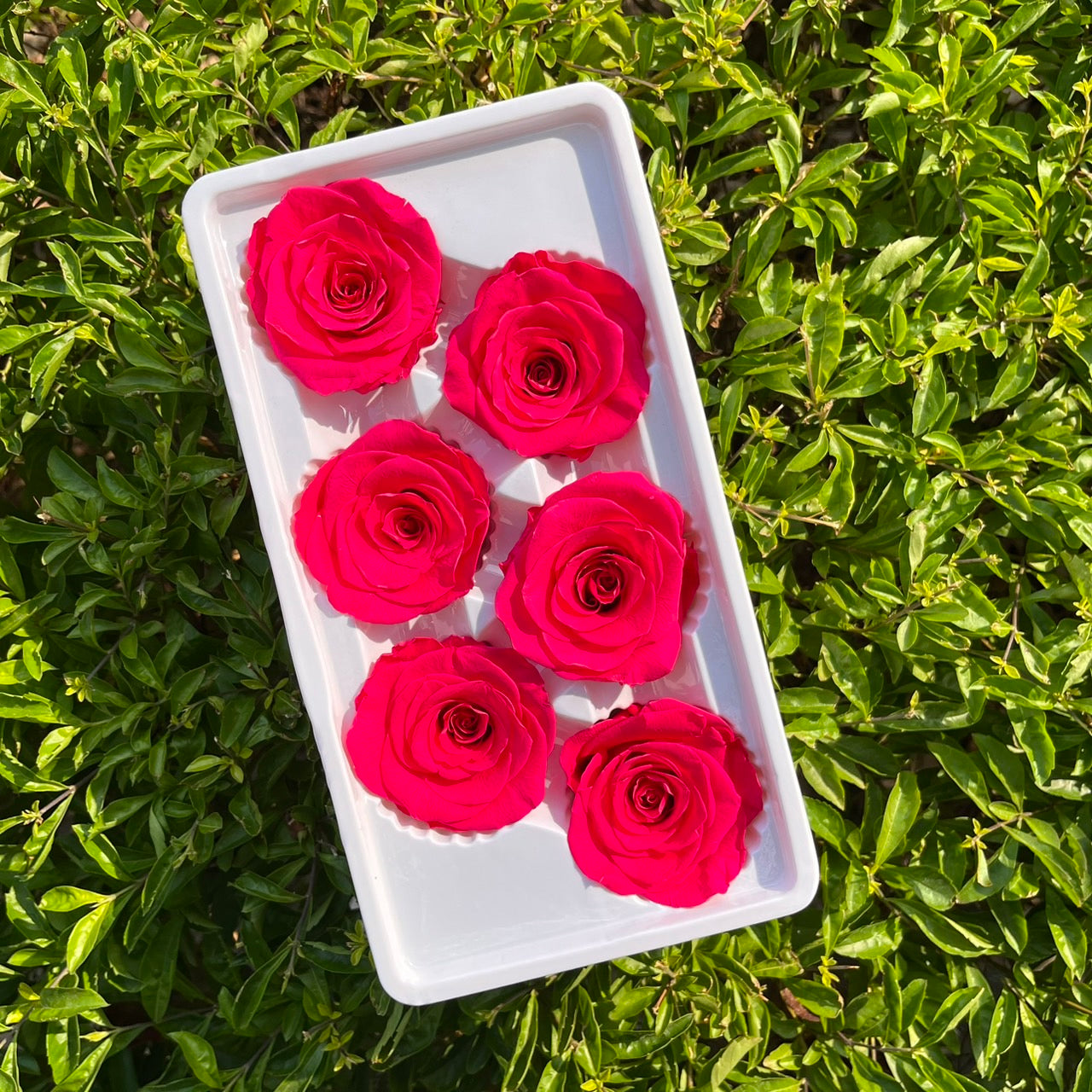 *** R06 永生玫瑰 5~6cm玫瑰 Ａ級 6朵裝 不凋花 小香風玫瑰 色彩款式齊全 莫蘭迪