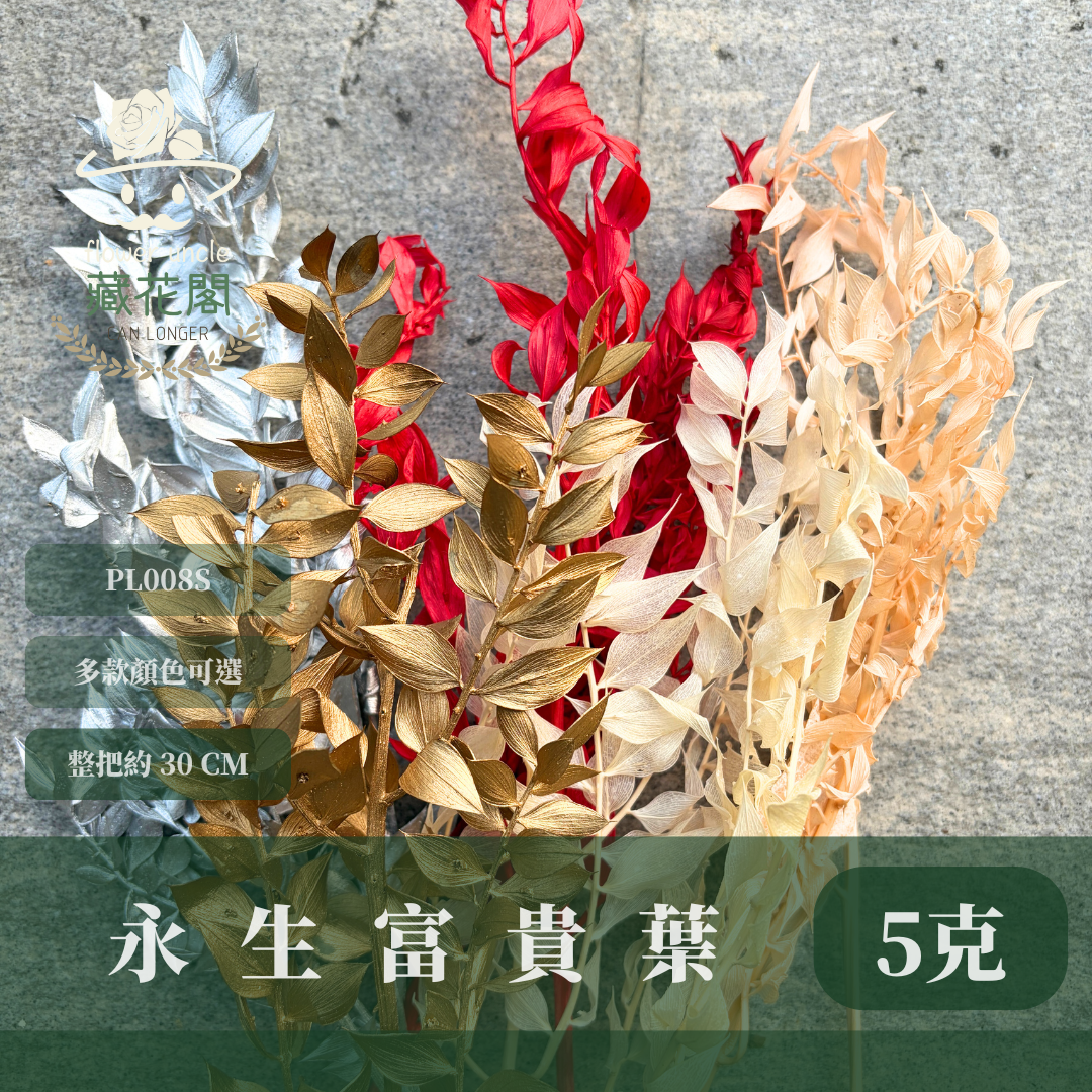 PL008S 永生富貴葉經濟包｜共五色！永生葉材 發財葉 批發價 乾燥花 永生花 熊貓竹 花藝材料 不凋花 小份量材料包