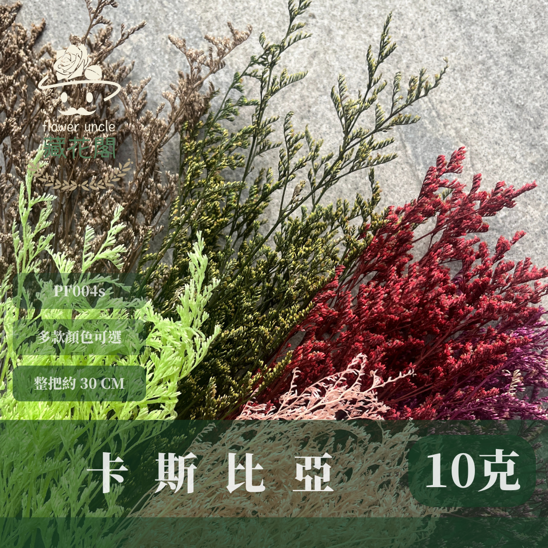 PF004S 卡斯比亞/情人草 10克 永生花 吸色/漂色 小份量