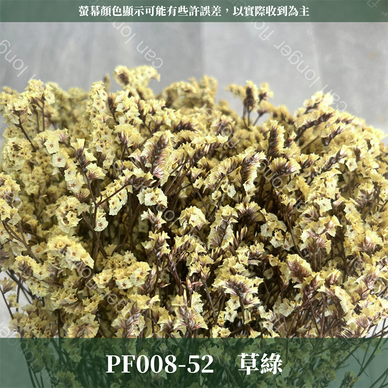 PF008 原裝水晶花｜現貨