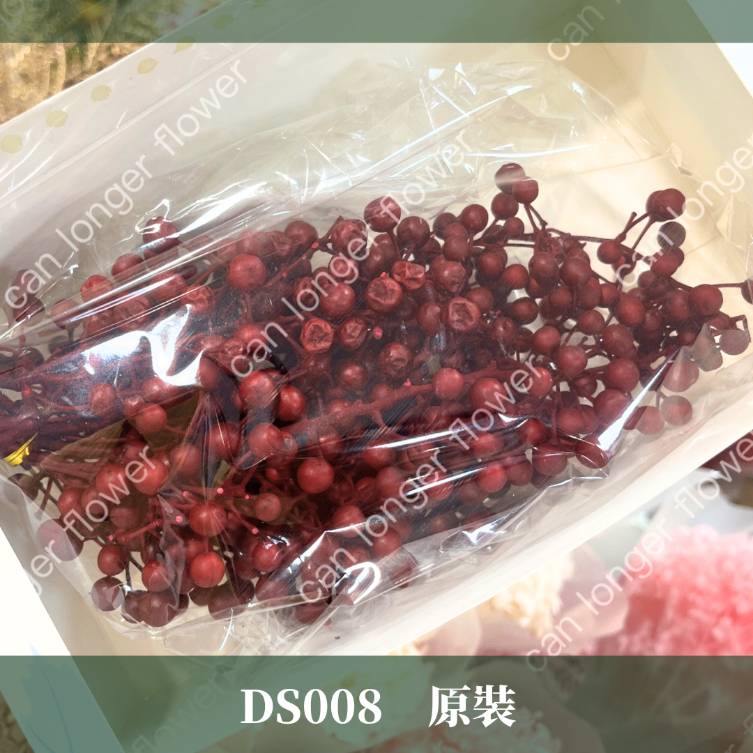 DS008 原裝紅果 約100克 聖誕節花材 台灣現貨