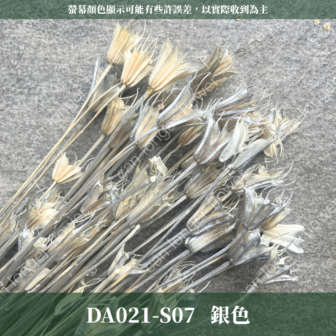 DA021 原裝木百合｜乾燥小百合 八角花 乾燥花材 花束 裝飾 DIY插花 浮游花 蠟燭材料 手作拍照道具 台灣現貨