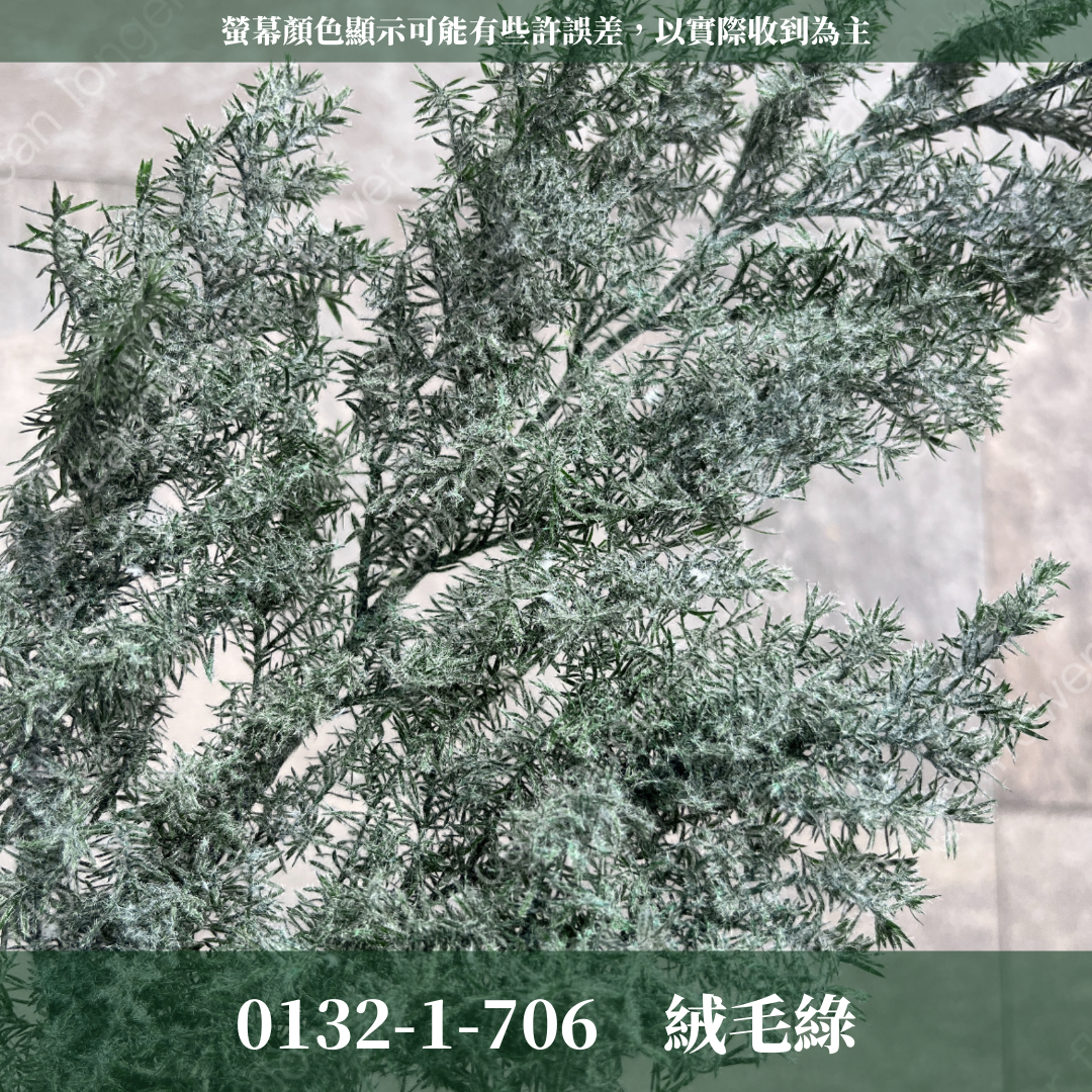 01321 原裝日本雪松｜下雪款雪松 永生雪松 日本雪松 不凋雪松 不凋雪松 日本大地農園 進口花材 日本永生花 日本花材 永生花 聖誕花圈 聖誕樹製作 聖誕樹 diy 花環材料 聖誕花圈材料 藤圈葉材 不凋葉材 手作花材 ヒムロスギ