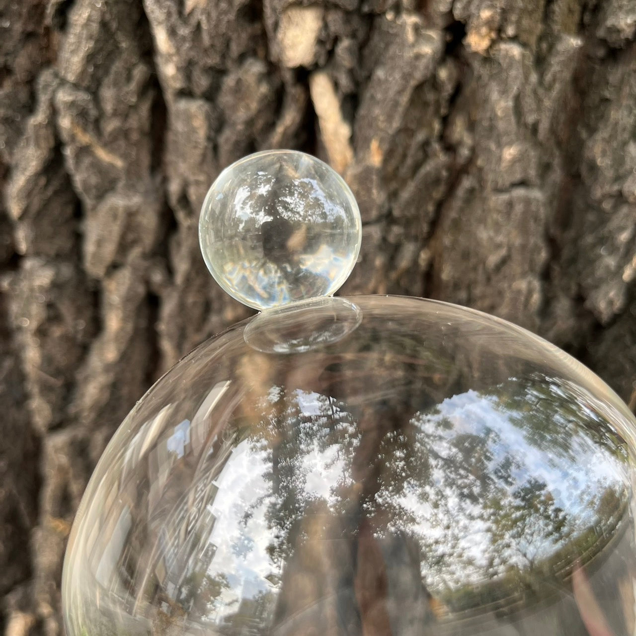 ✿ 台灣現貨 ✿ CG-L 罩盅L