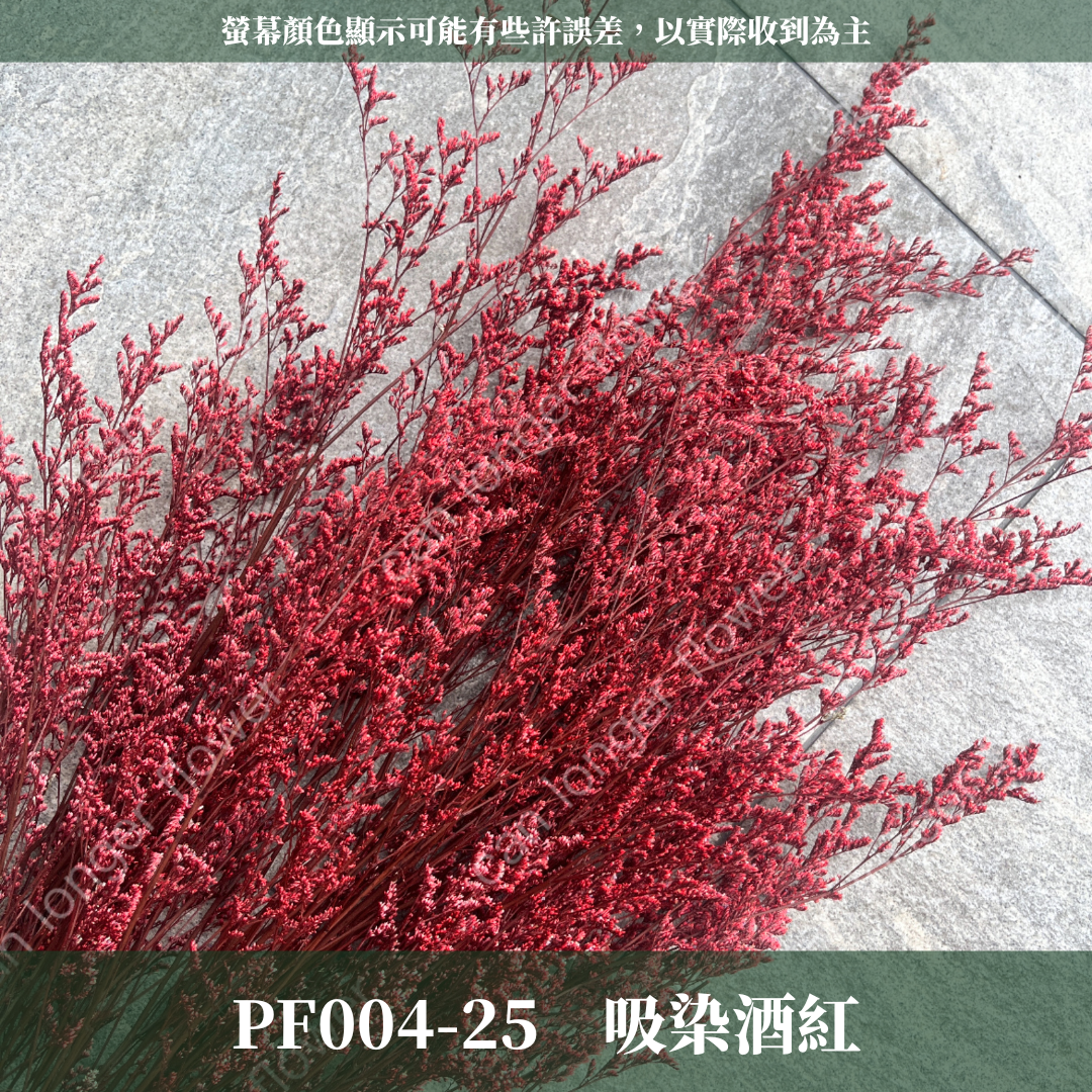 PF004 原裝卡斯比亞｜情人草