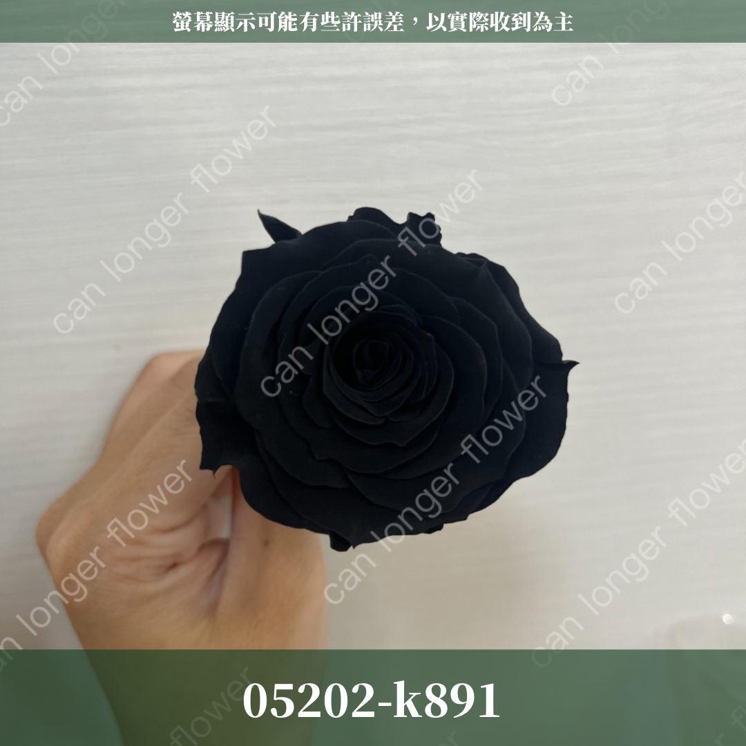 05202 大玫瑰