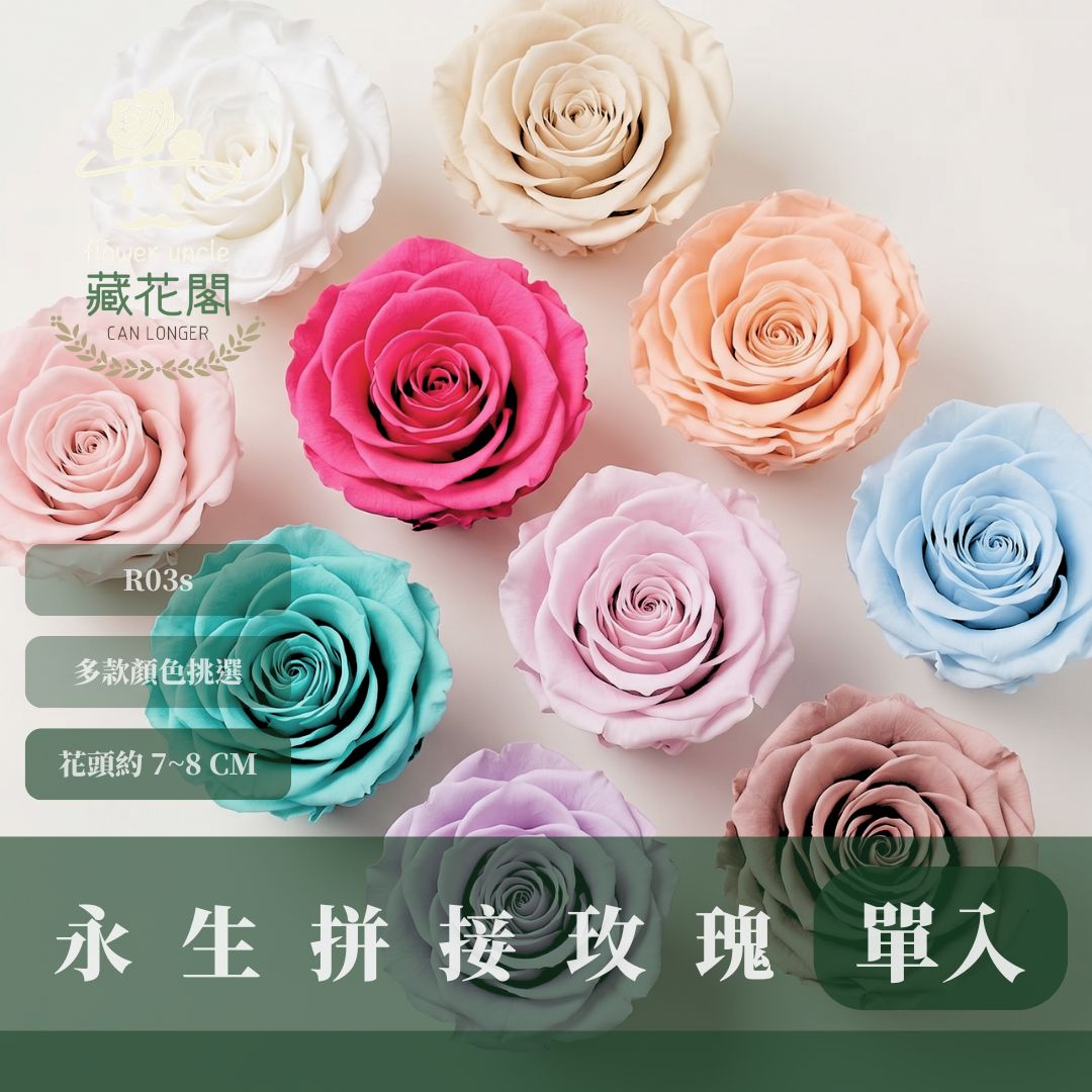 R03s 永生7~8 CM拼接玫瑰｜買三顆省246元｜永生巨型玫瑰 不凋玫瑰花頭 花束花材 永生花 乾燥花 拚色混色花朵