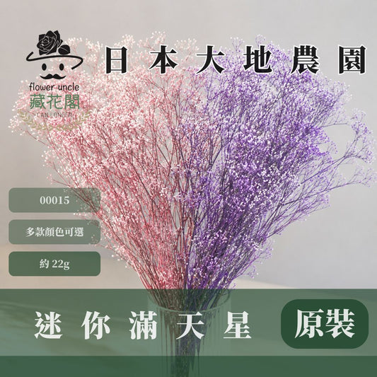 00015/00010迷你滿天星(漸層、亮片) 日本大地農園