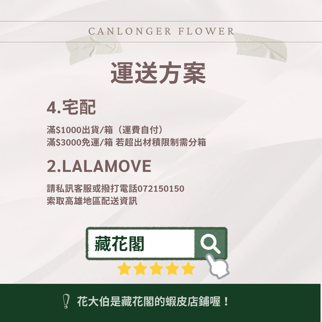 R10B B級永生玫瑰盒裝 4m玫瑰 單朵 永生花 不凋花 台灣現貨