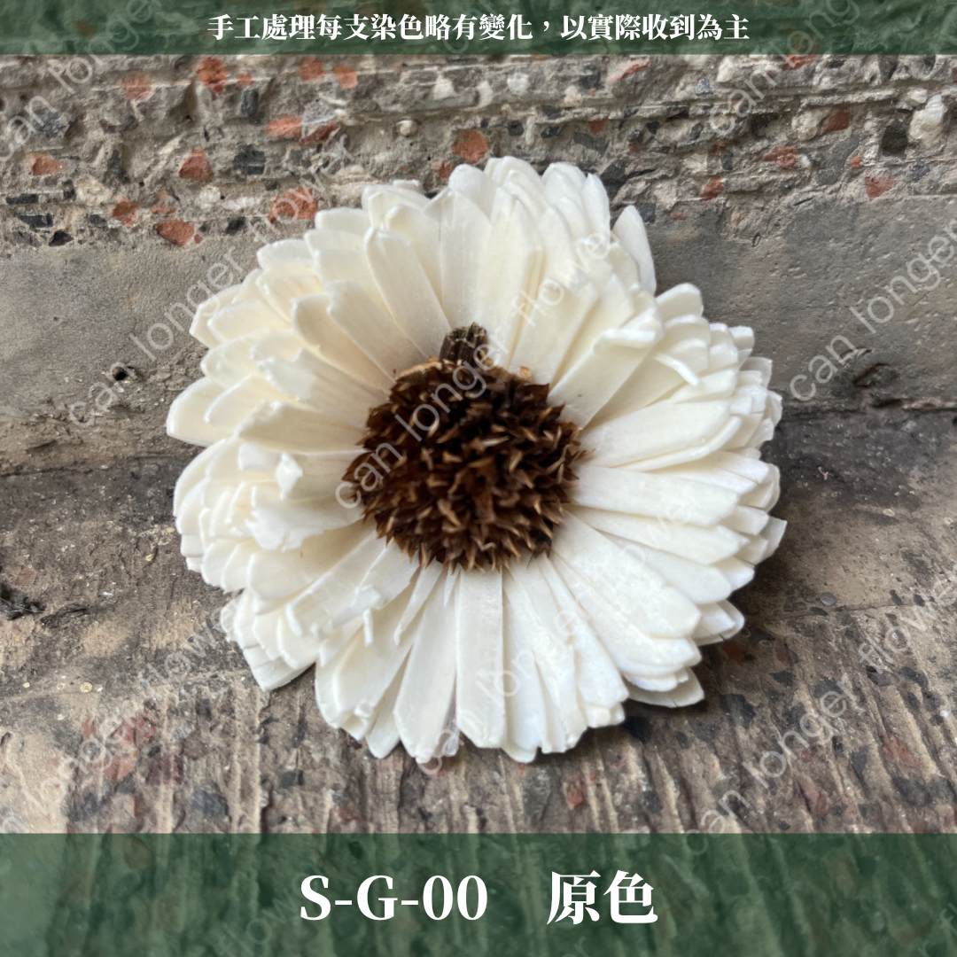 S-G 索拉花｜6CM 通草花 擴香花
