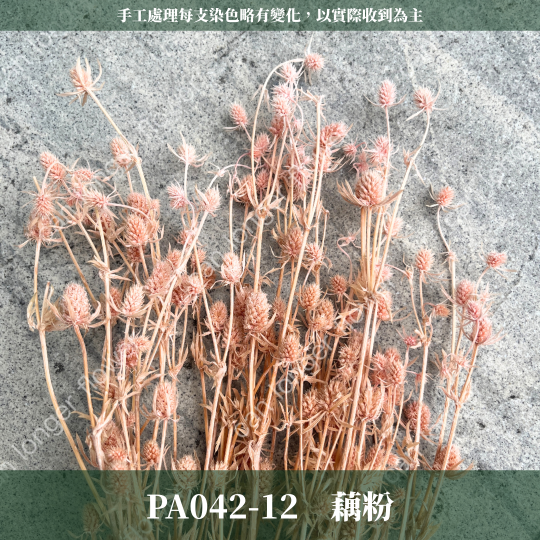 ✿ 台灣現貨 ✿ PA042 小薊果 紫薊花 刺芹花 小薊花