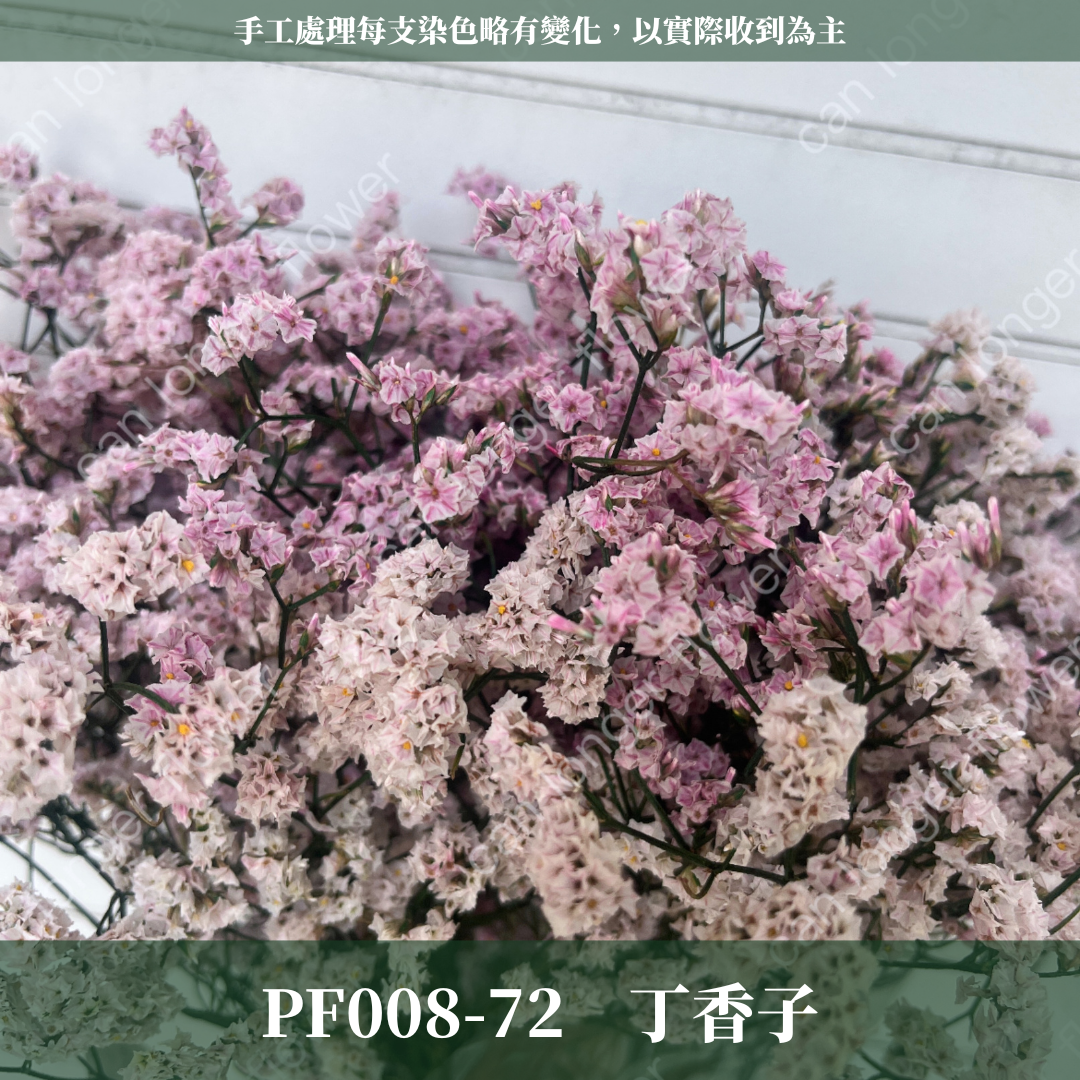 PF008 原裝水晶花｜現貨