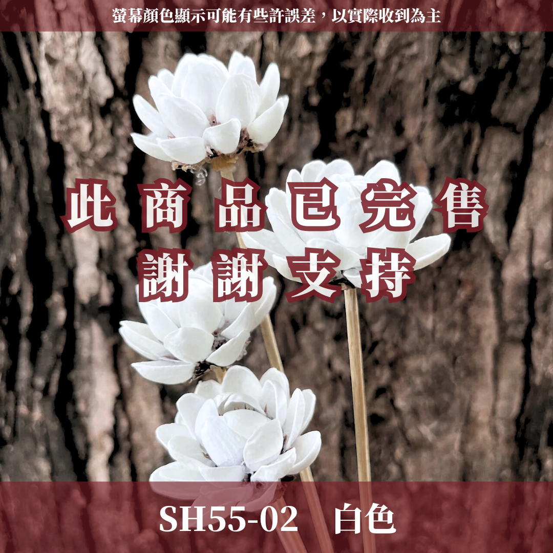 SH55 木蓮花 單朵 小份量 台灣現貨