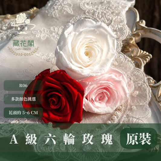 R06 A級六輪玫瑰｜約 5-6 cm｜花藝師必買 不凋大玫瑰花頭 永生玫瑰 香頌玫瑰 甦醒玫瑰 花束材料 捧花材料