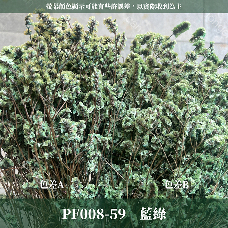 PF008 原裝水晶花｜現貨