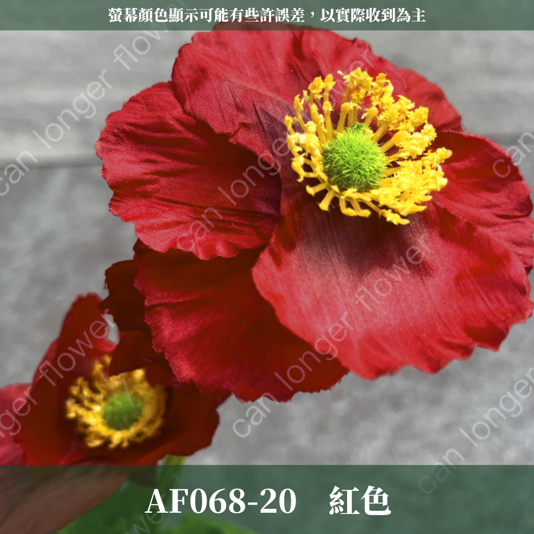AF068 仿真虞美人(3頭)