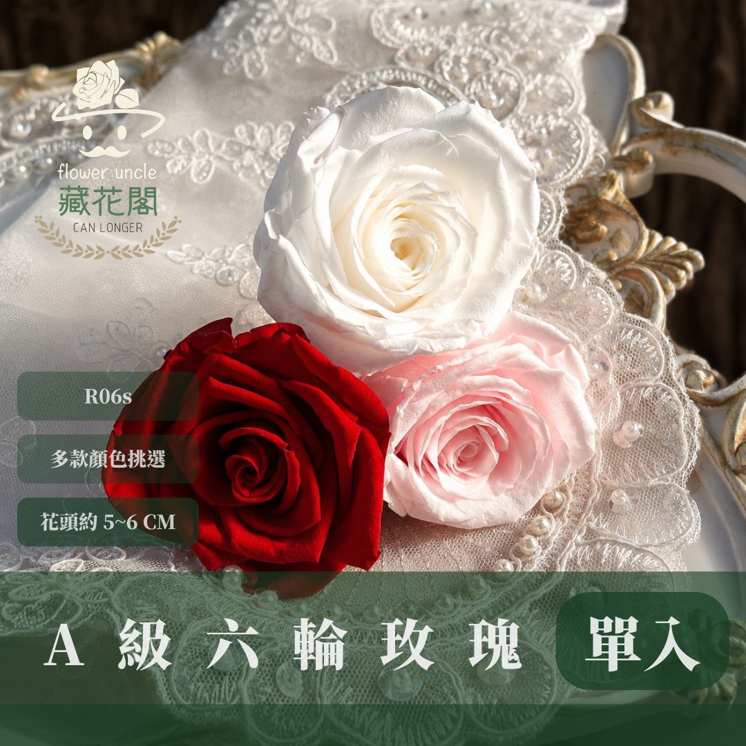 R06s A級六輪玫瑰｜買六朵省120元｜約 5-6 cm｜花藝師必買 不凋大玫瑰花頭 永生玫瑰 花束材料 捧花材料