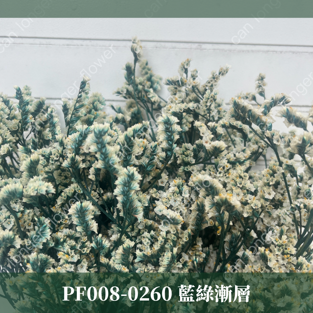 PF008 原裝水晶花｜現貨