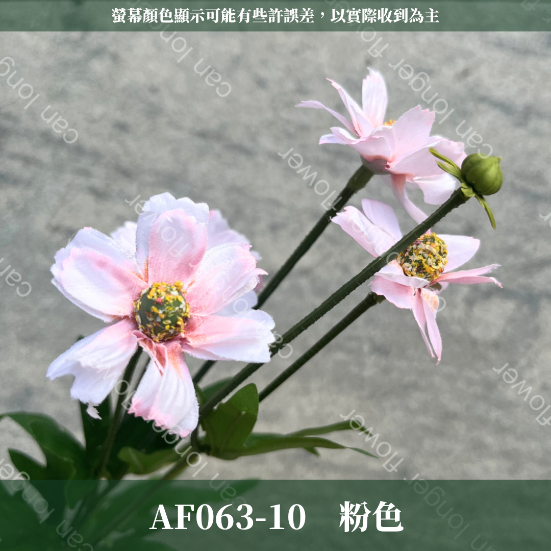 AF063 仿真英式小雛菊（4頭）