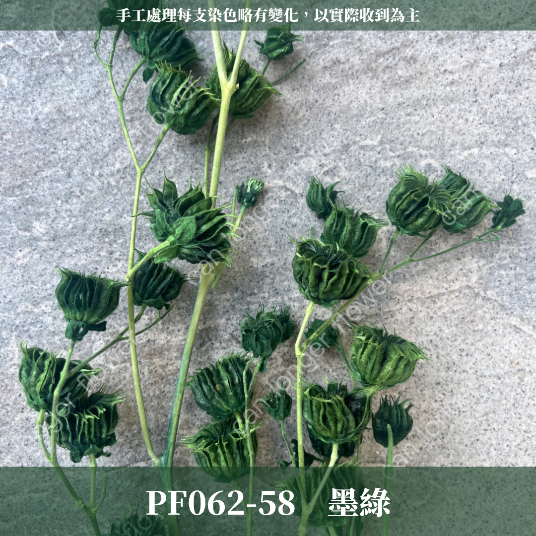 ✿ 台灣現貨 ✿  PA062 年輪果