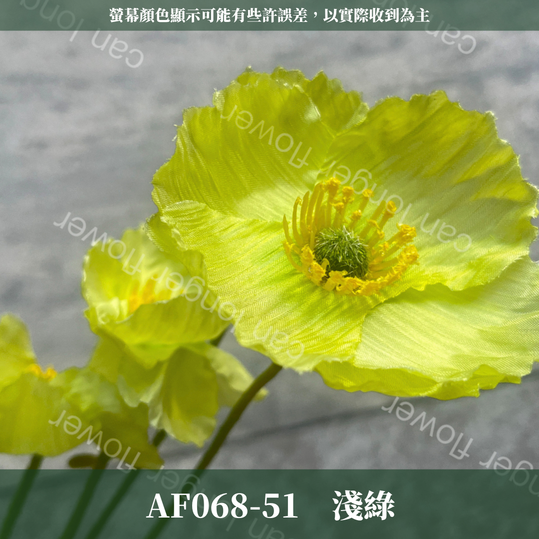 AF068 仿真虞美人(3頭)