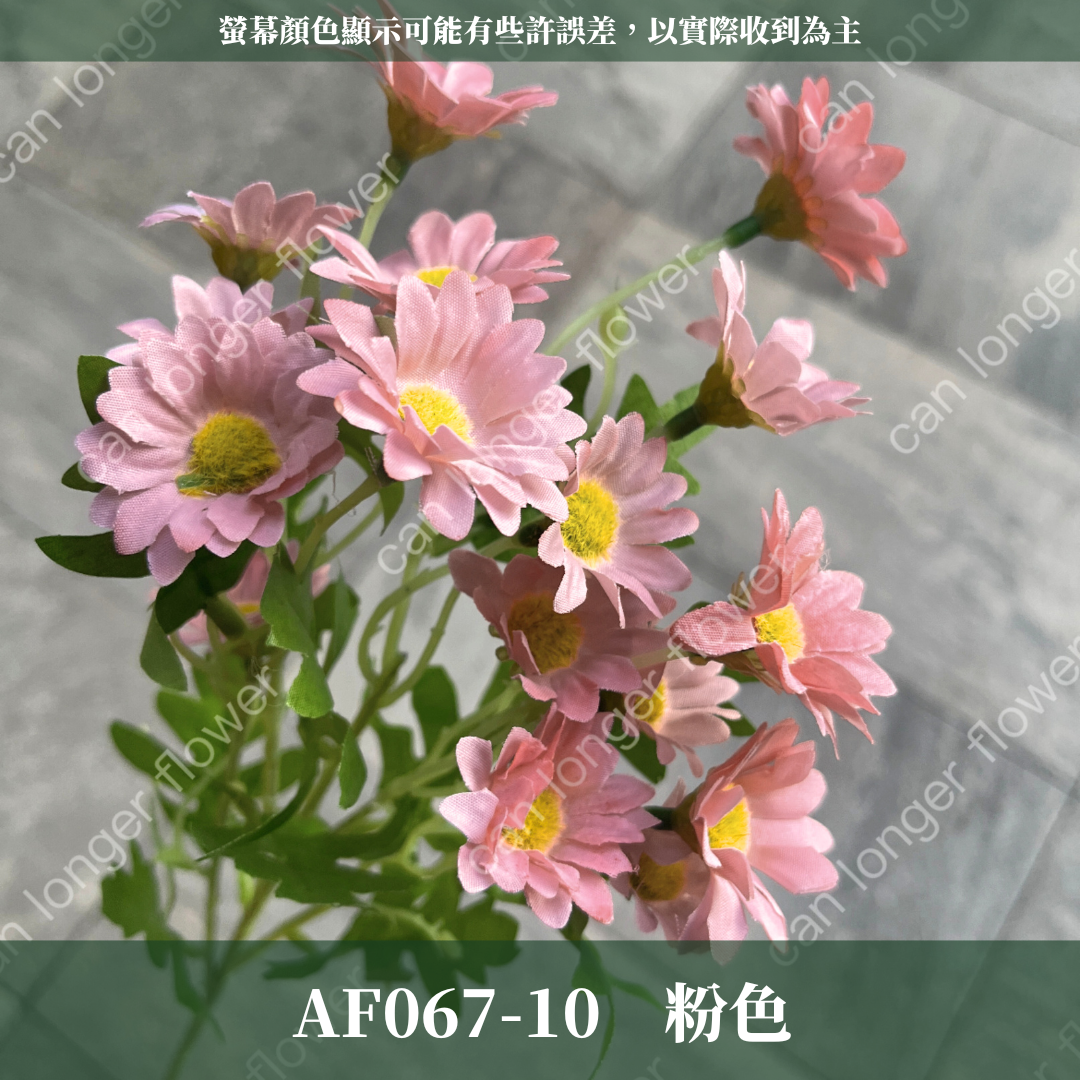 AF067 仿真洋甘菊