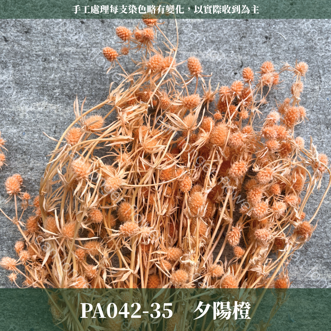 ✿ 台灣現貨 ✿ PA042 小薊果 紫薊花 刺芹花 小薊花