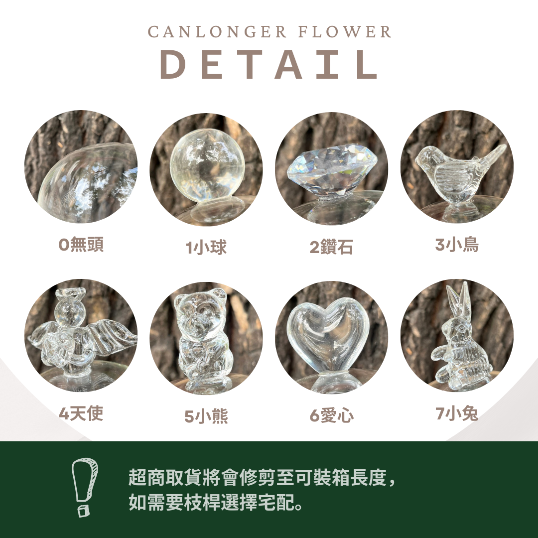 ✿ 台灣現貨 ✿ CG-L 罩盅L