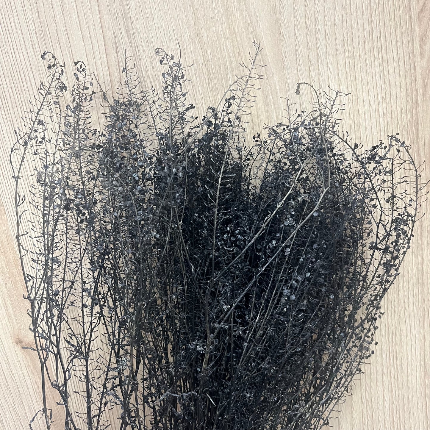 【台灣現貨】PA060s 小翠扇