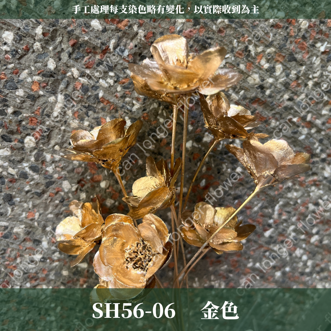 SH56 原裝手工銀連花｜9種顏色！A級乾燥花材料包 手工花主花 永生花 不凋花瓜子花花材 花束花材 花藝師必買