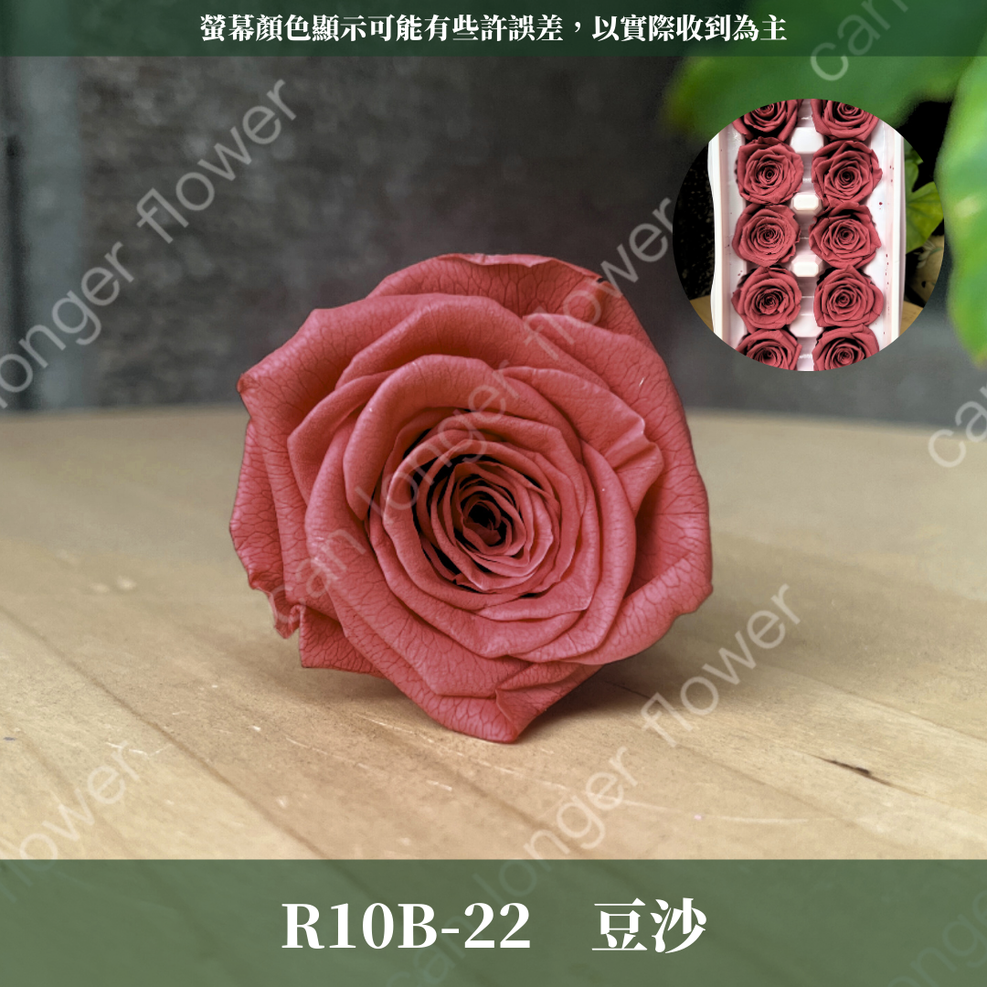 R10B B級永生玫瑰盒裝 4m玫瑰 單朵 永生花 不凋花 台灣現貨